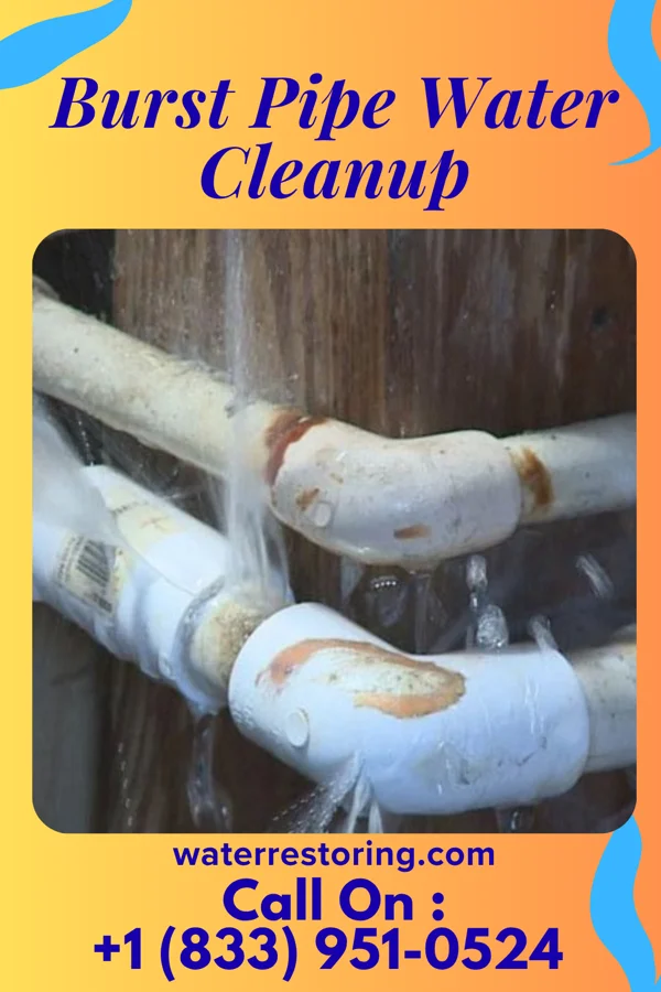Burst Pipe Water Cleanup in Ossian, IN