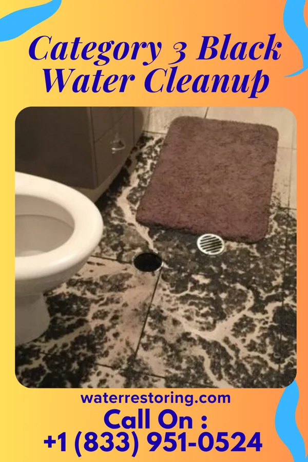 Category 3 Black Water Cleanup in Ossian, IN