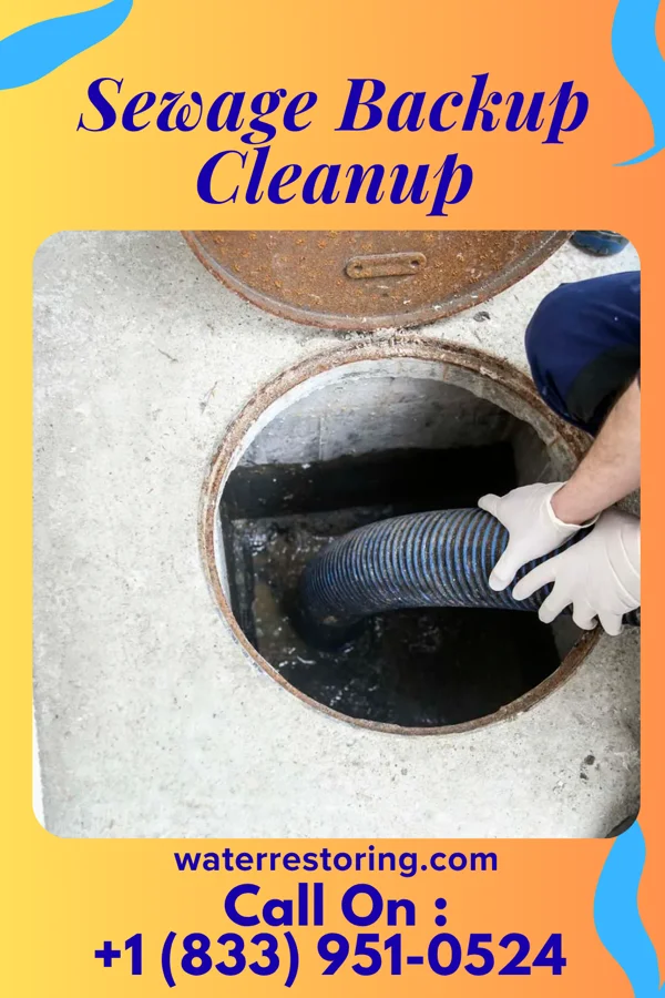 Sewage Backup Cleanup in Ossian, IN
